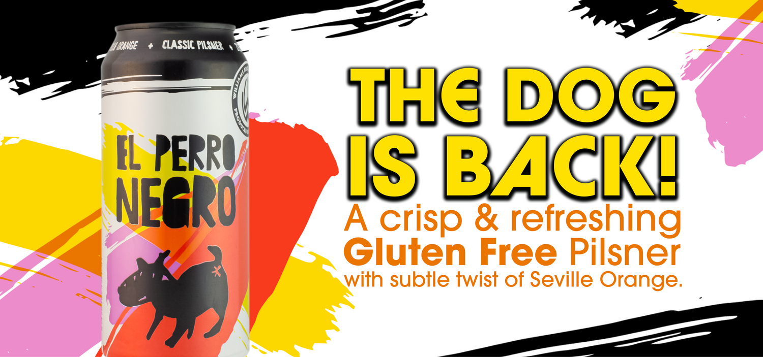 El Perro Negro beer can with colorful abstract design and text 'The Dog is Back!' on a white background.