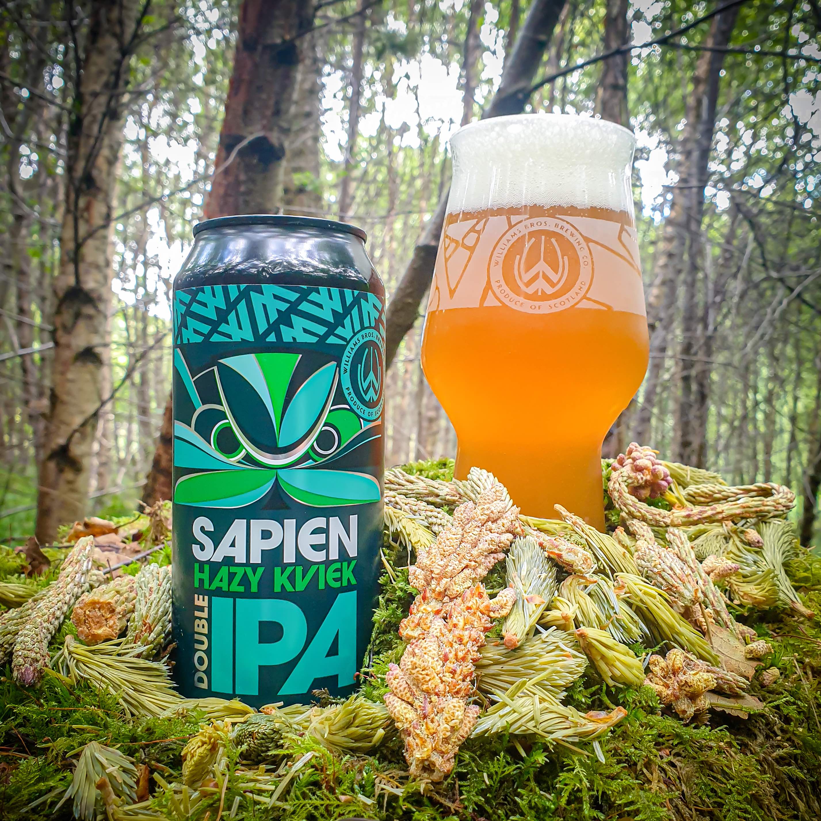 Sapien (7.5%) – Williams Bros. Brewing Co.